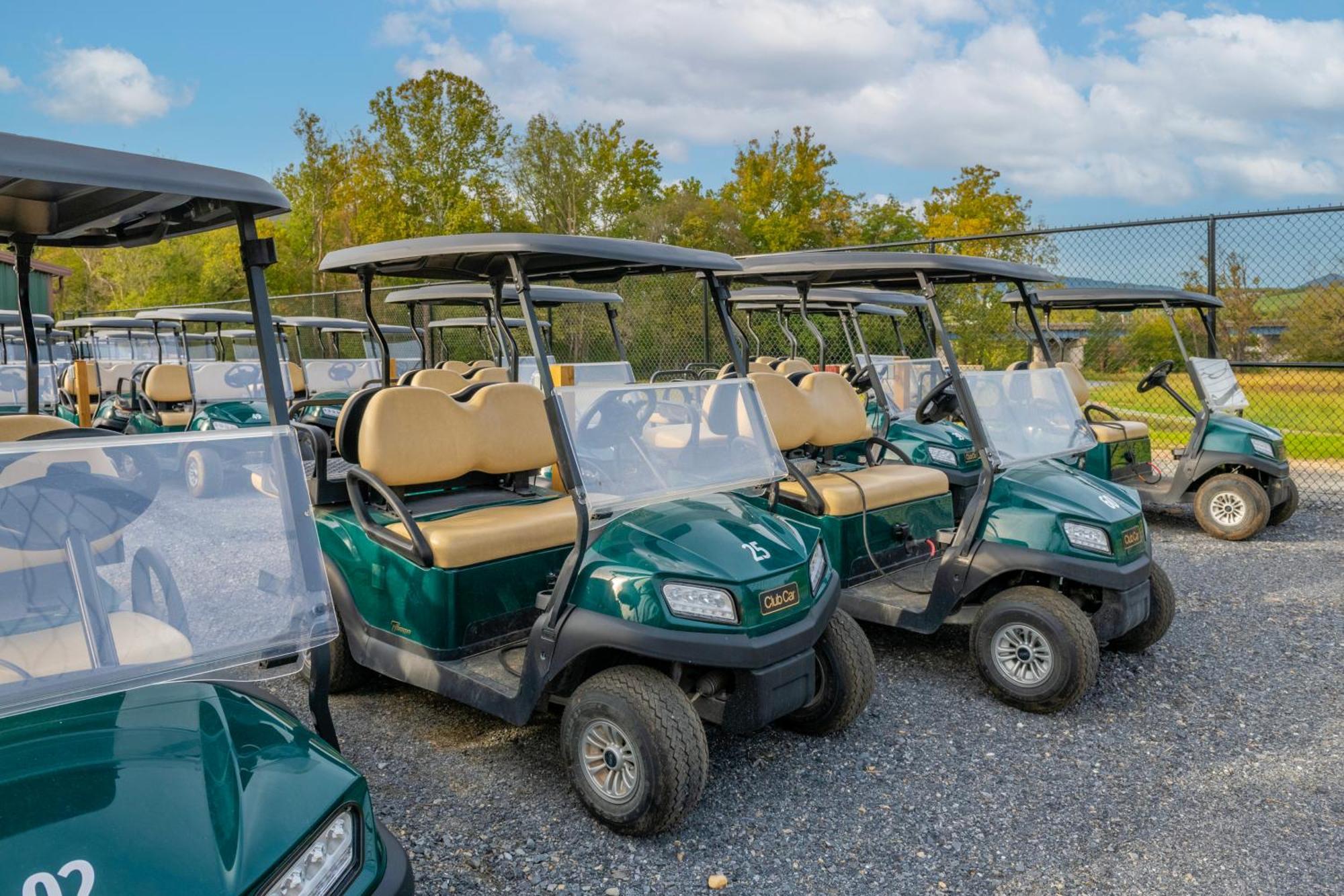 Luray Rv Resort On Shenandoah River Exterior foto